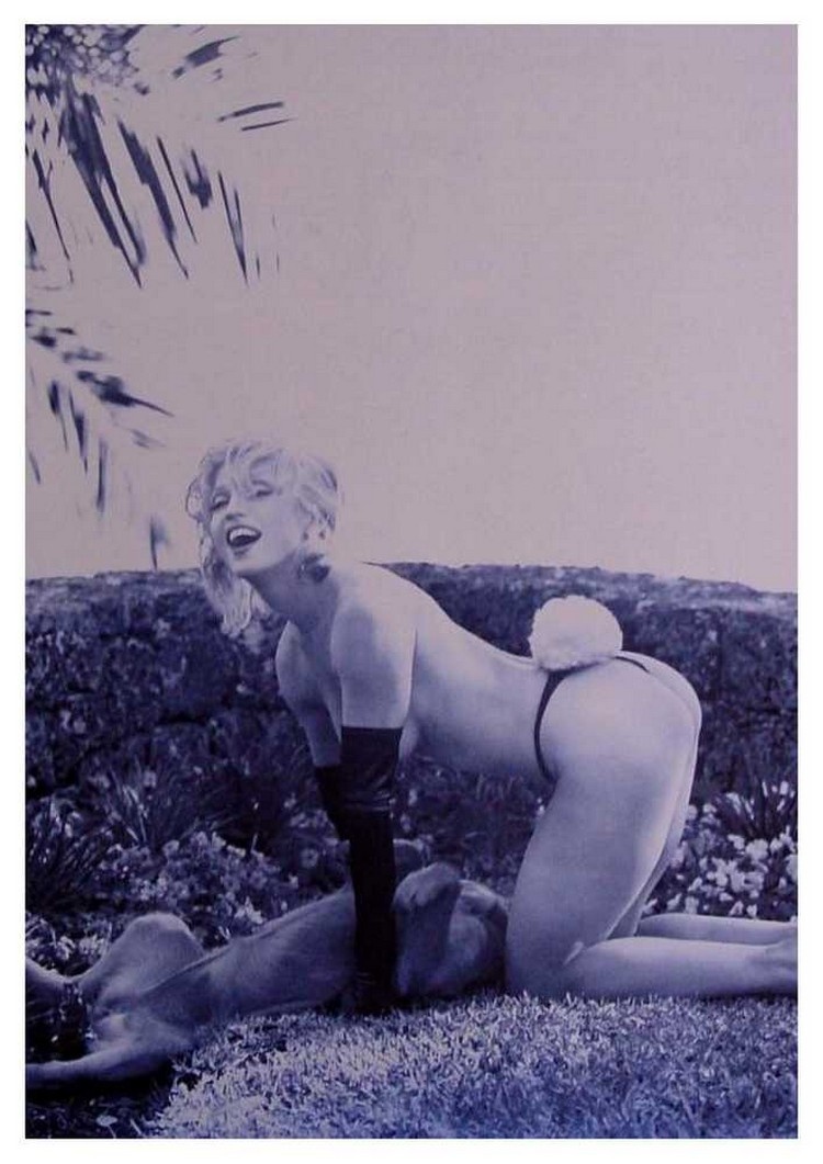 Мадонна Луиза Чикконе Playboy
