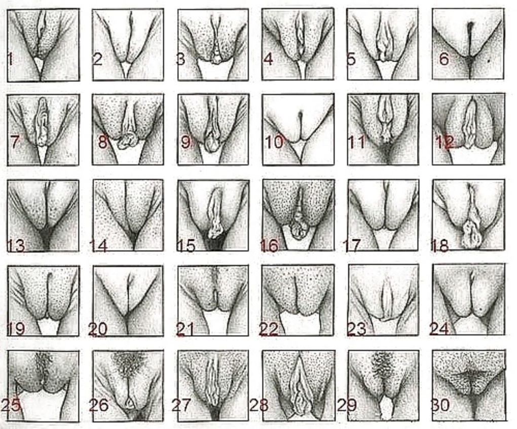 Типы женских писек (53 фото) - Порно фото голых девушек