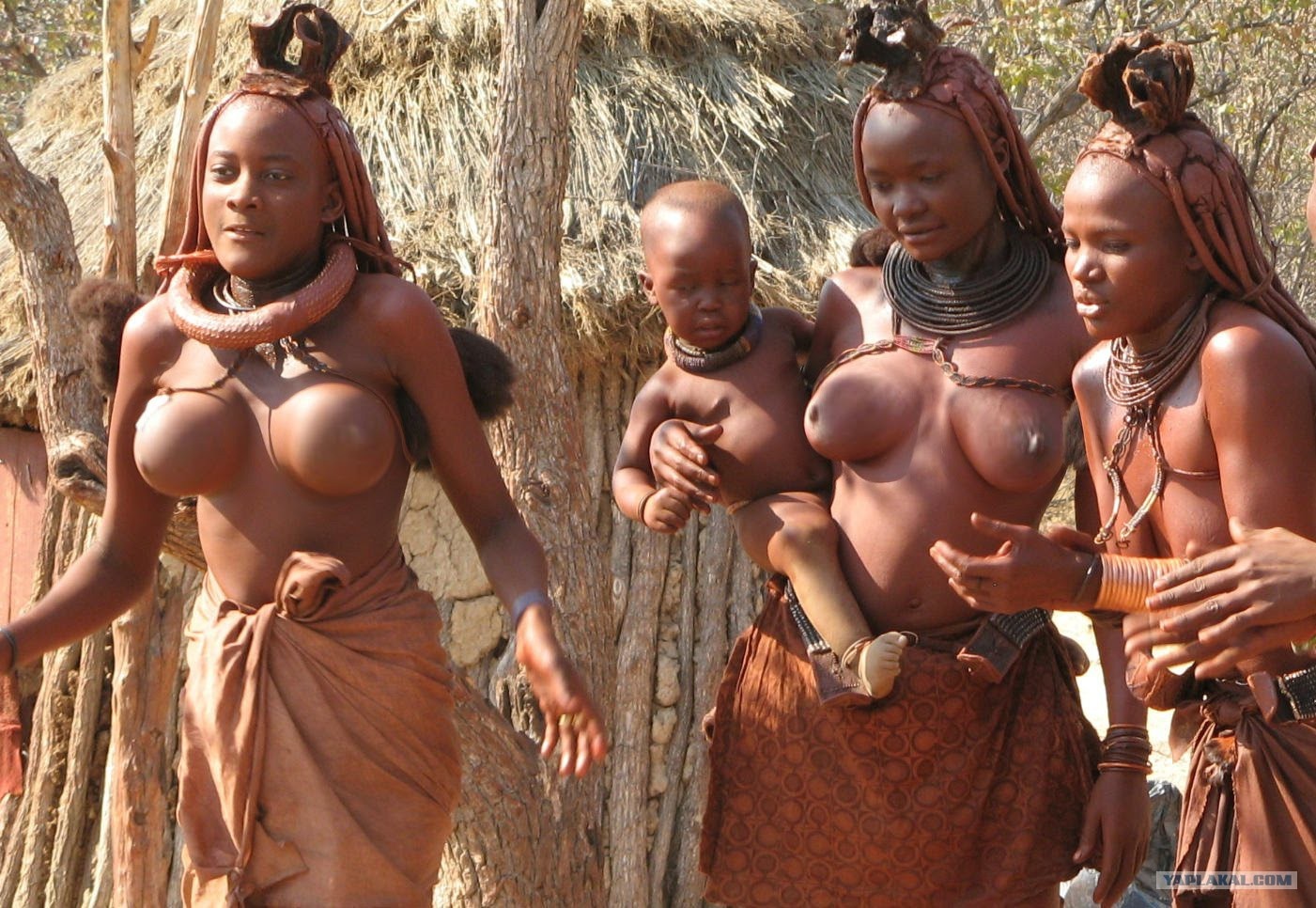 голые африканские попы фото 97