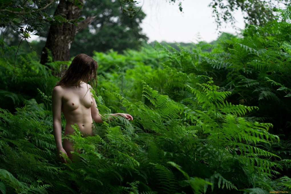 голая девушка в кустах фото