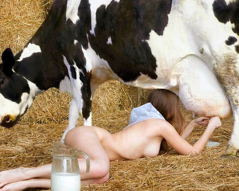 порно дойка коровы фото 108