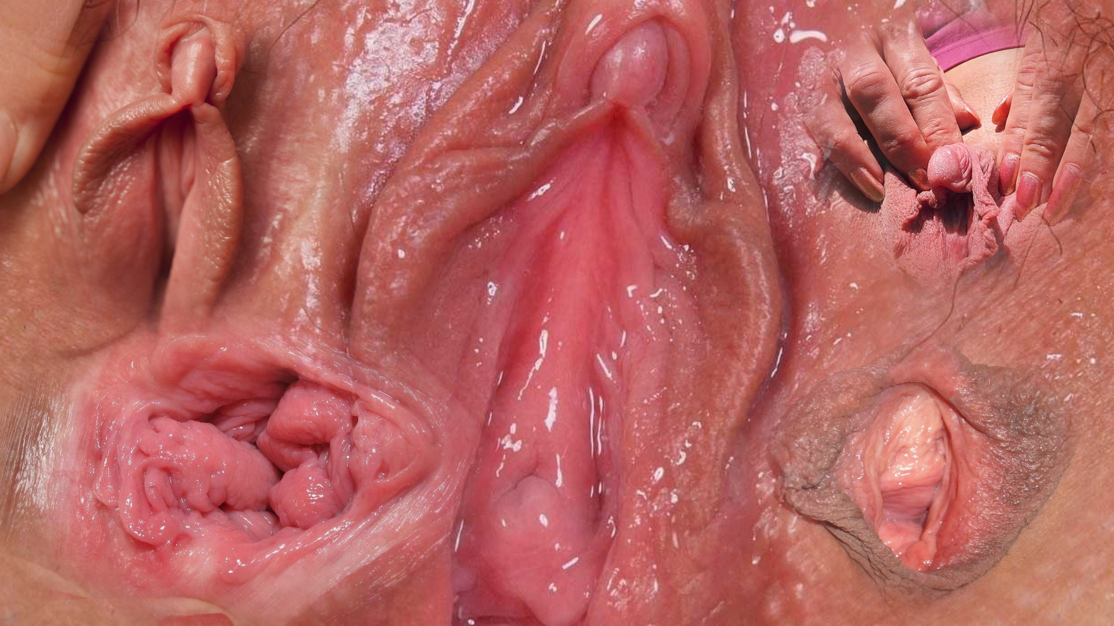 https://eropic.cc/uploads/posts/2022-06/1654361255_27-eropic-cc-p-erotika-kak-viglyadit-seks-iznutri-vagini-43.jpg