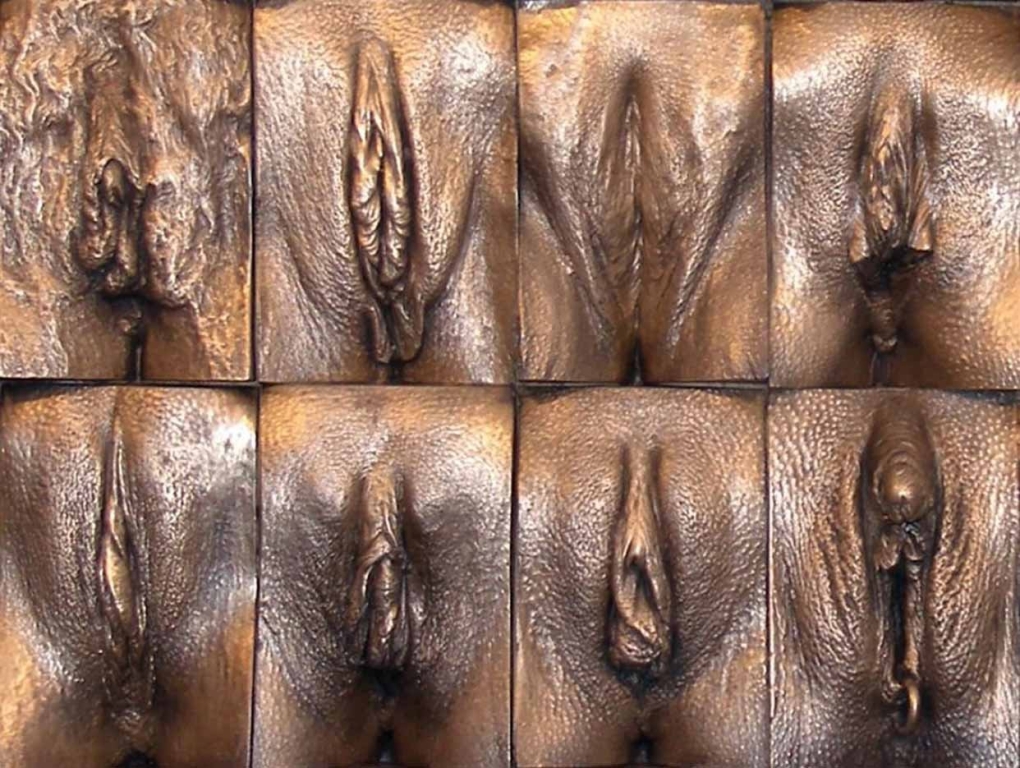 Эротика виды женских половых органов (61 фото)