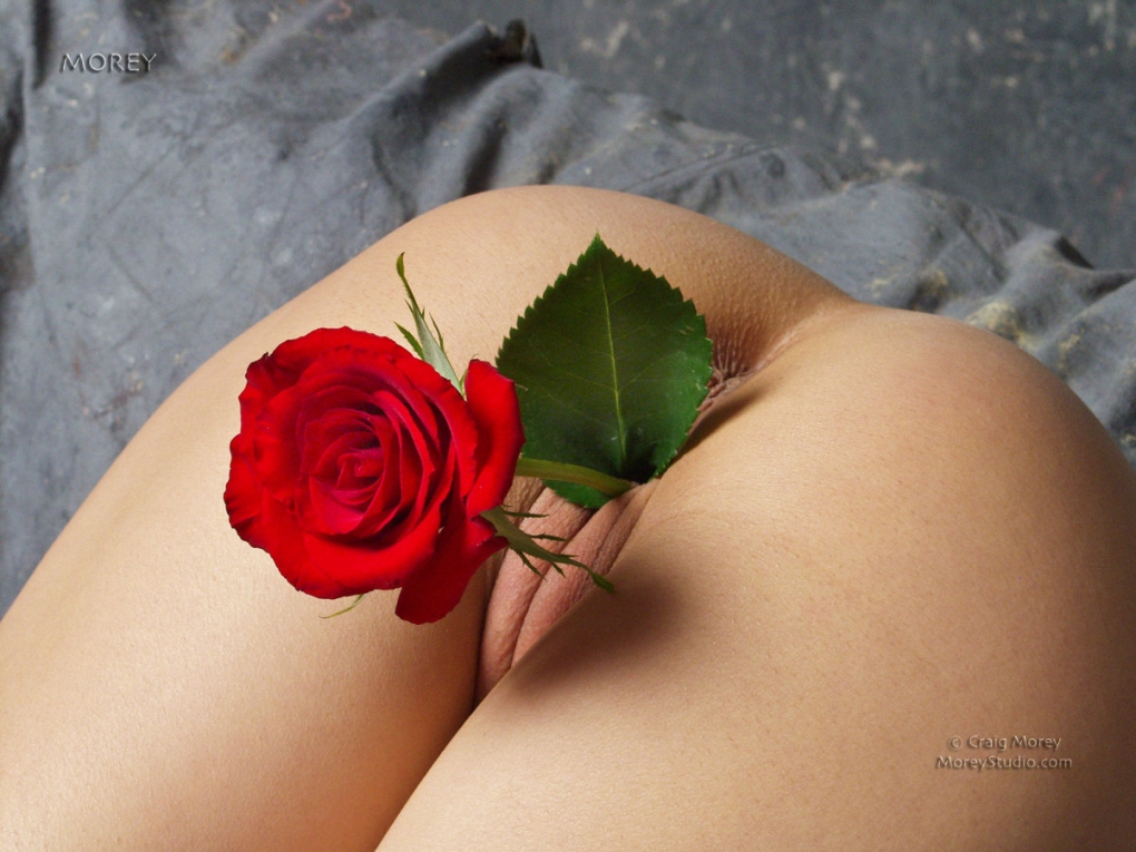 Эротика обнаженные девушки киски розы - фото порно devkis