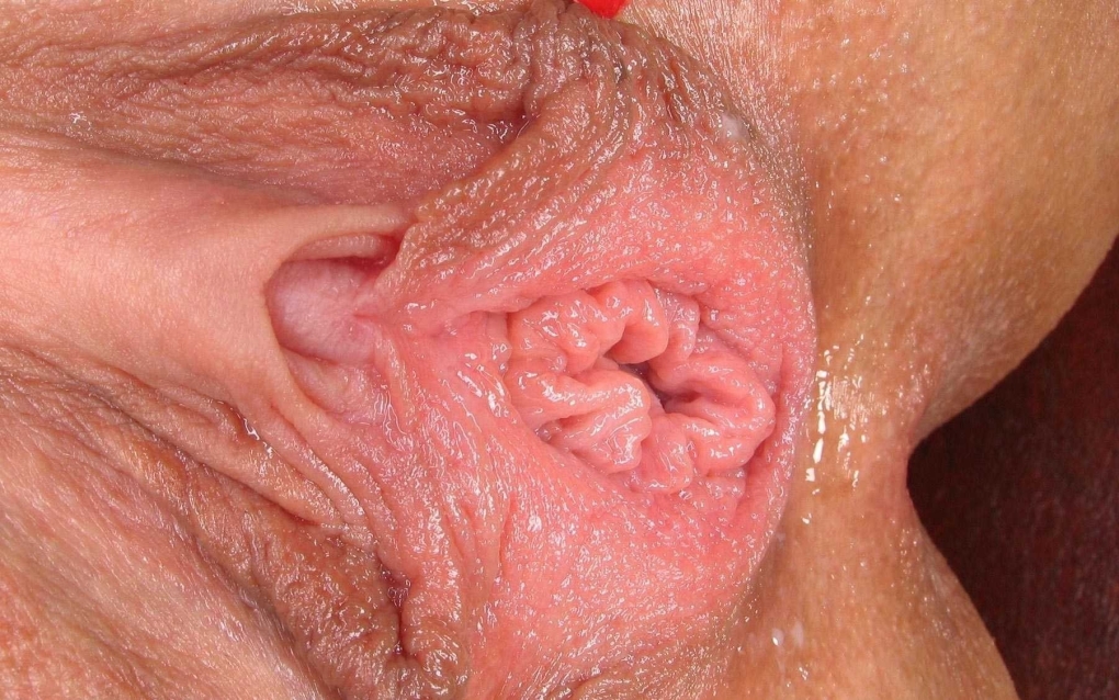 Красивые половые органы